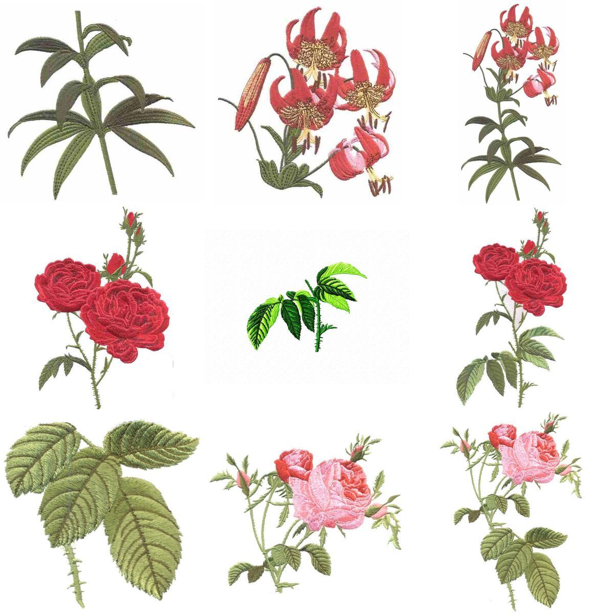 Split flowers 1 10 designs by outback embroidery download echidna Split flowers 1 10 designs by outback embroidery download echidna