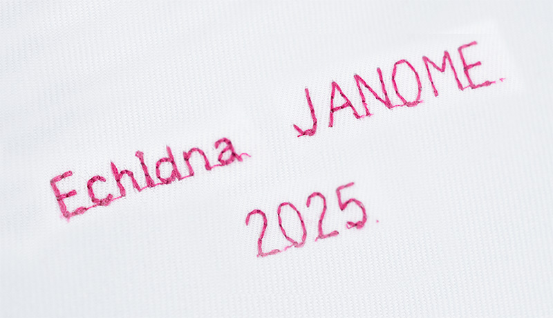Janome Skyline S5AE 1 Font with 4 Alphabets