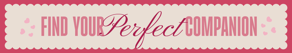 Echidna Sewing Valentine's Day Sales