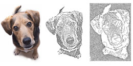 Auto-digitizing with Reef PhotoStitch