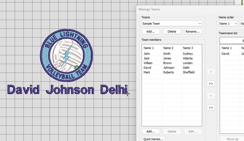 Brother BE Embroidery Studio Team Names