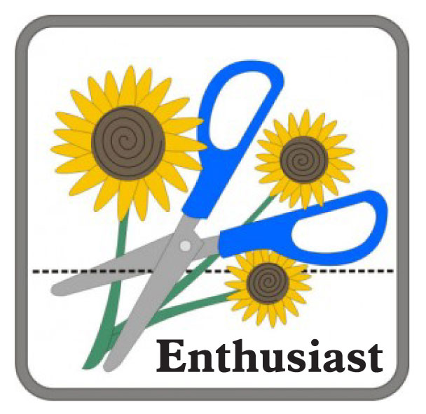 Embrilliance Enthusiast