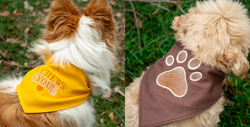 Pawesome Pack on Dog Bandana Project