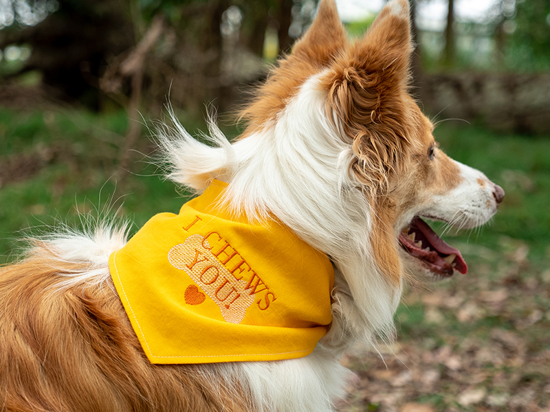 Dog Bandana Project