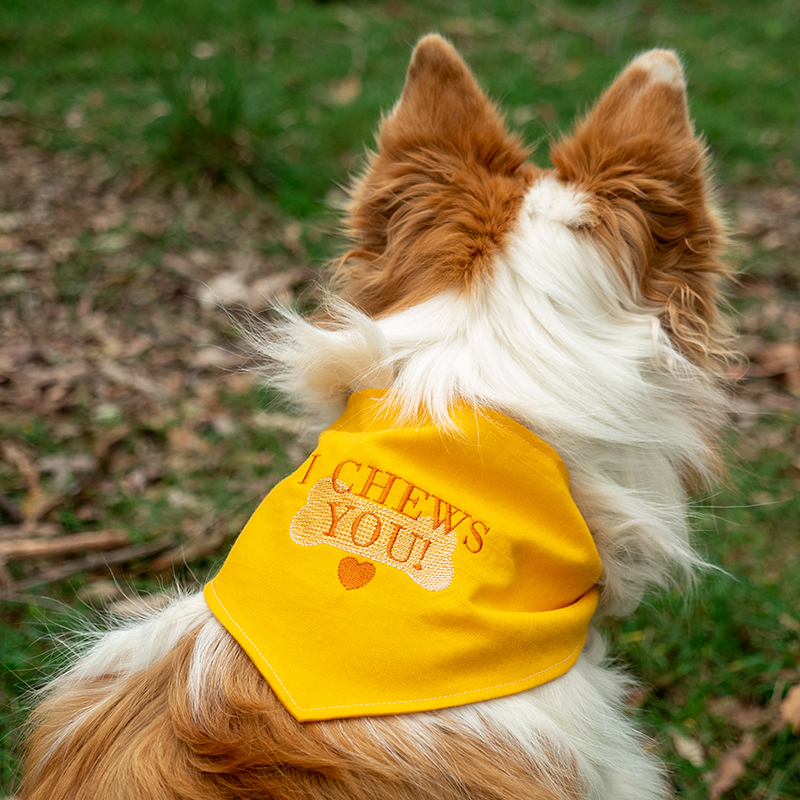 Dog Bandana Project