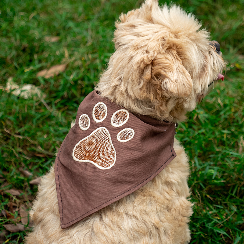 Over Collar Dog Bandana Project