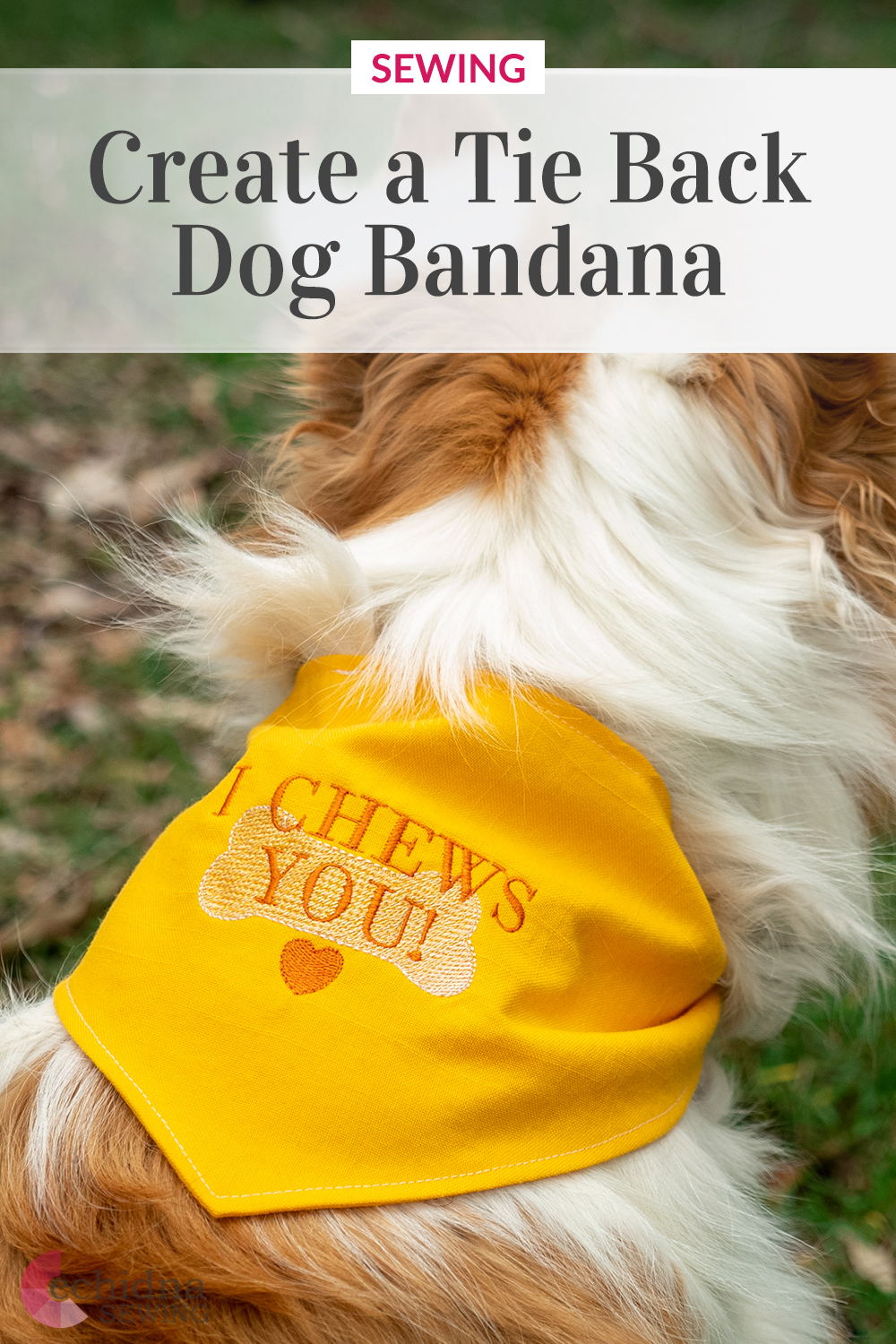 Dog Bandana Project Pinterest