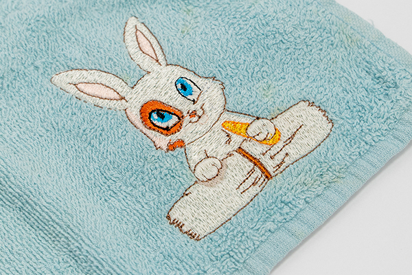 Embroider on a towel Project