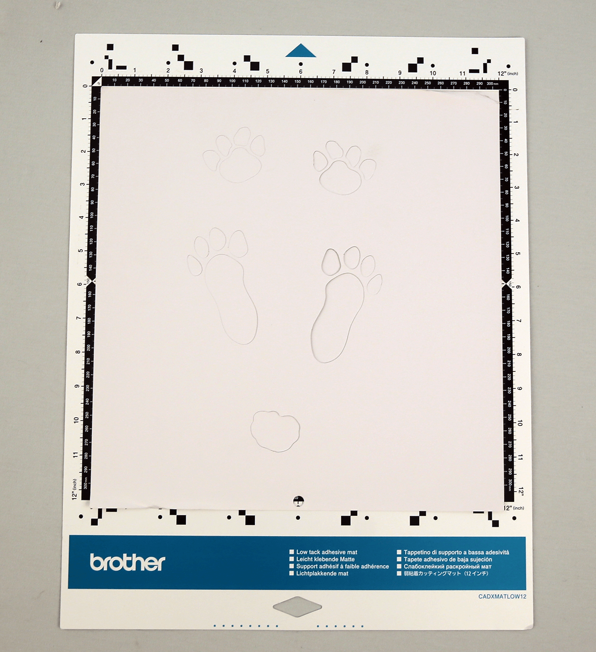 cut out bunny footprint