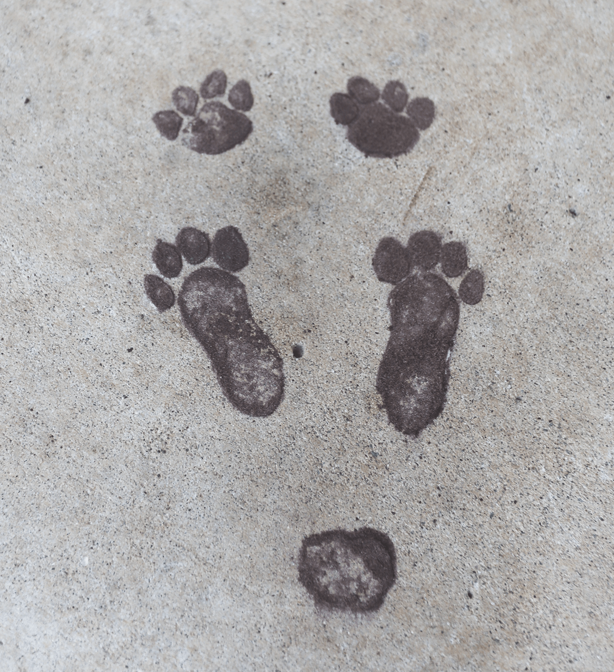 footprints on floor