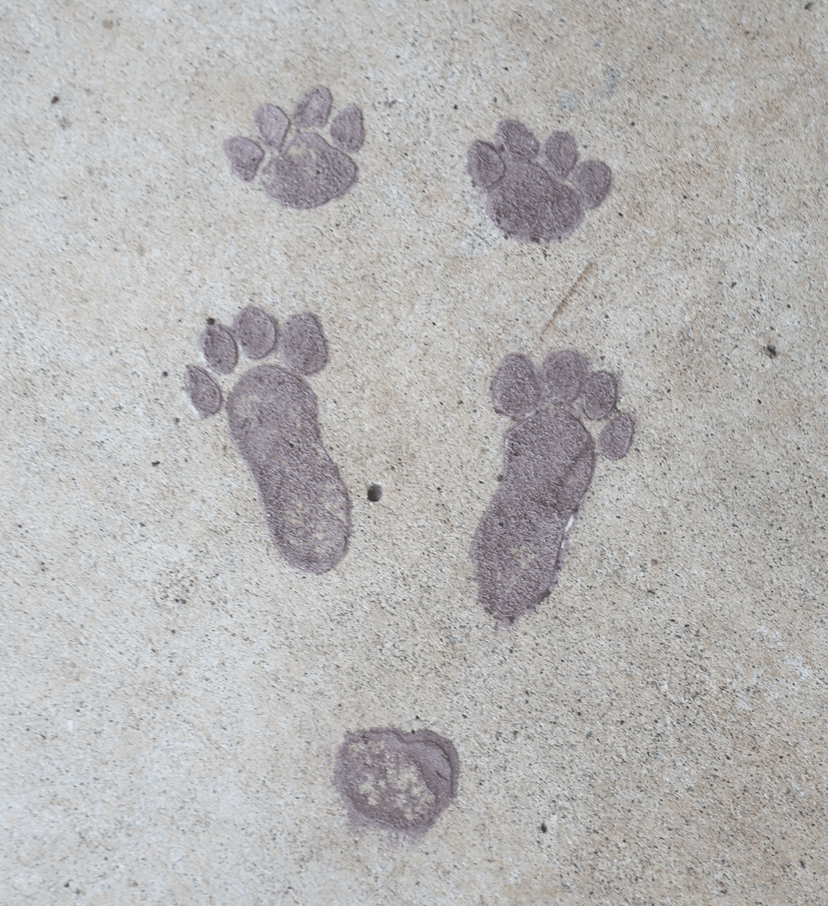 icing sugar santa footprint