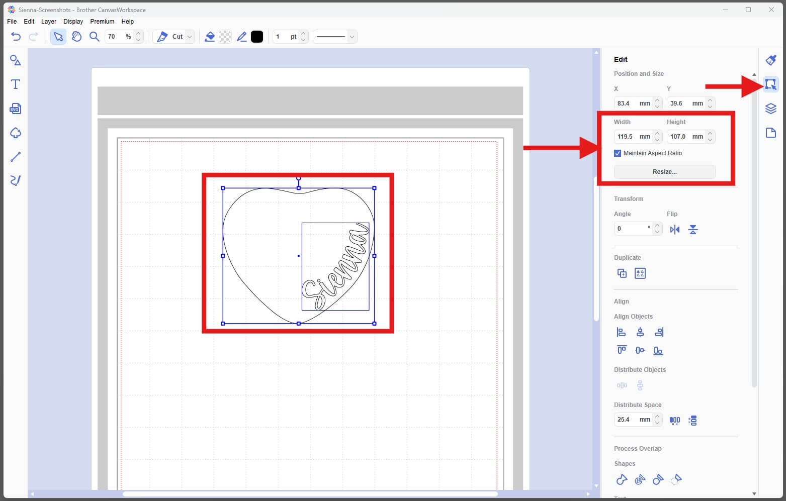 Resize CanvasWorkspace