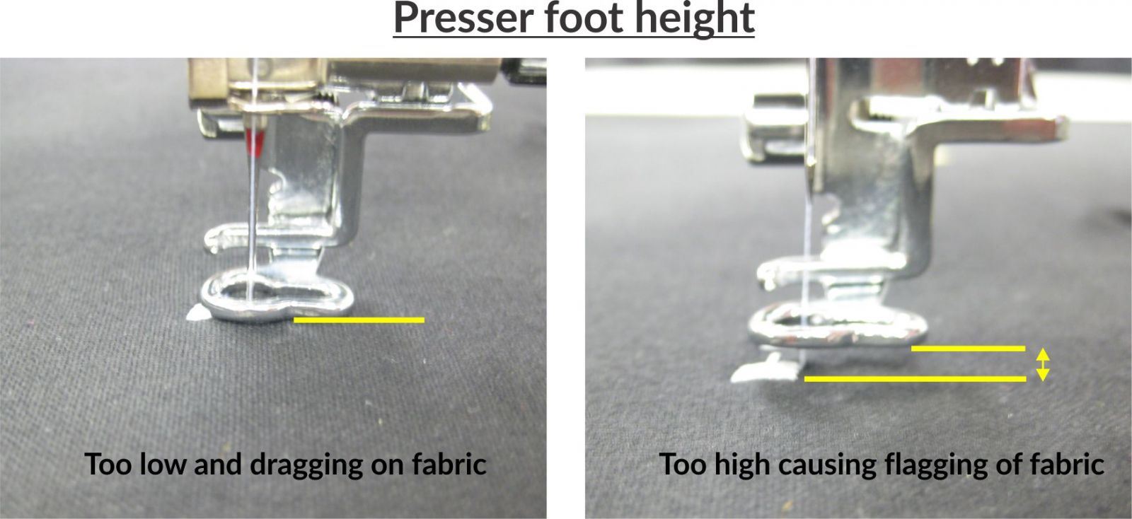 Presser Foot
