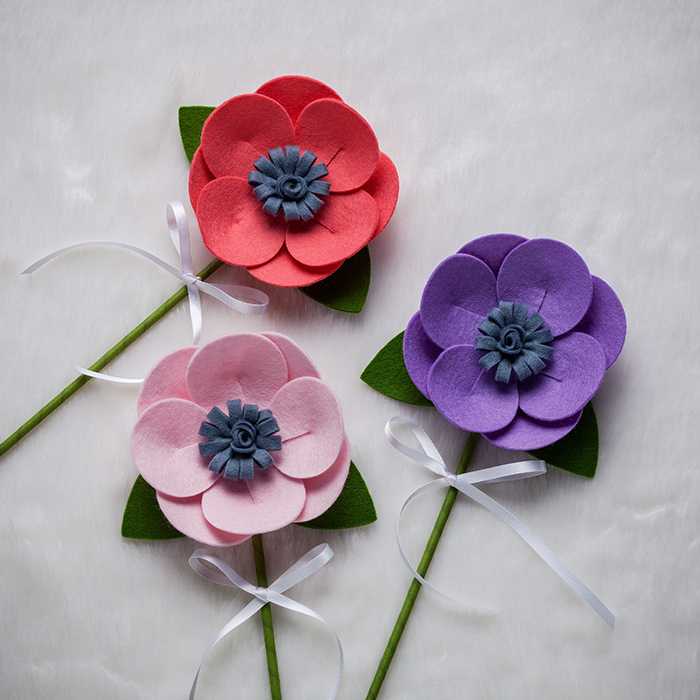 Fabric ScanNcut