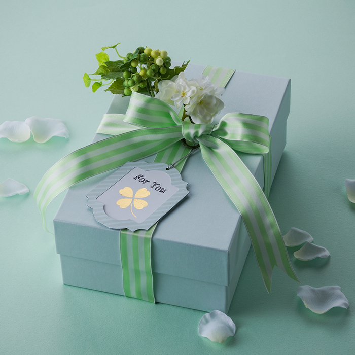 Foiling ScanNcut