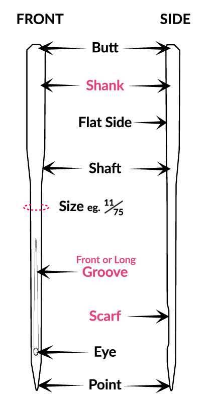 anatomy of needle