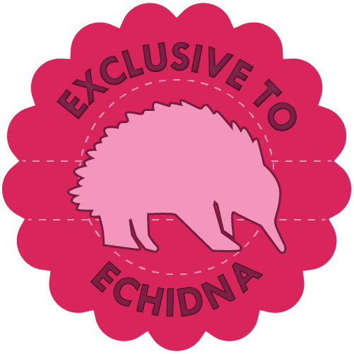 exclusive icon