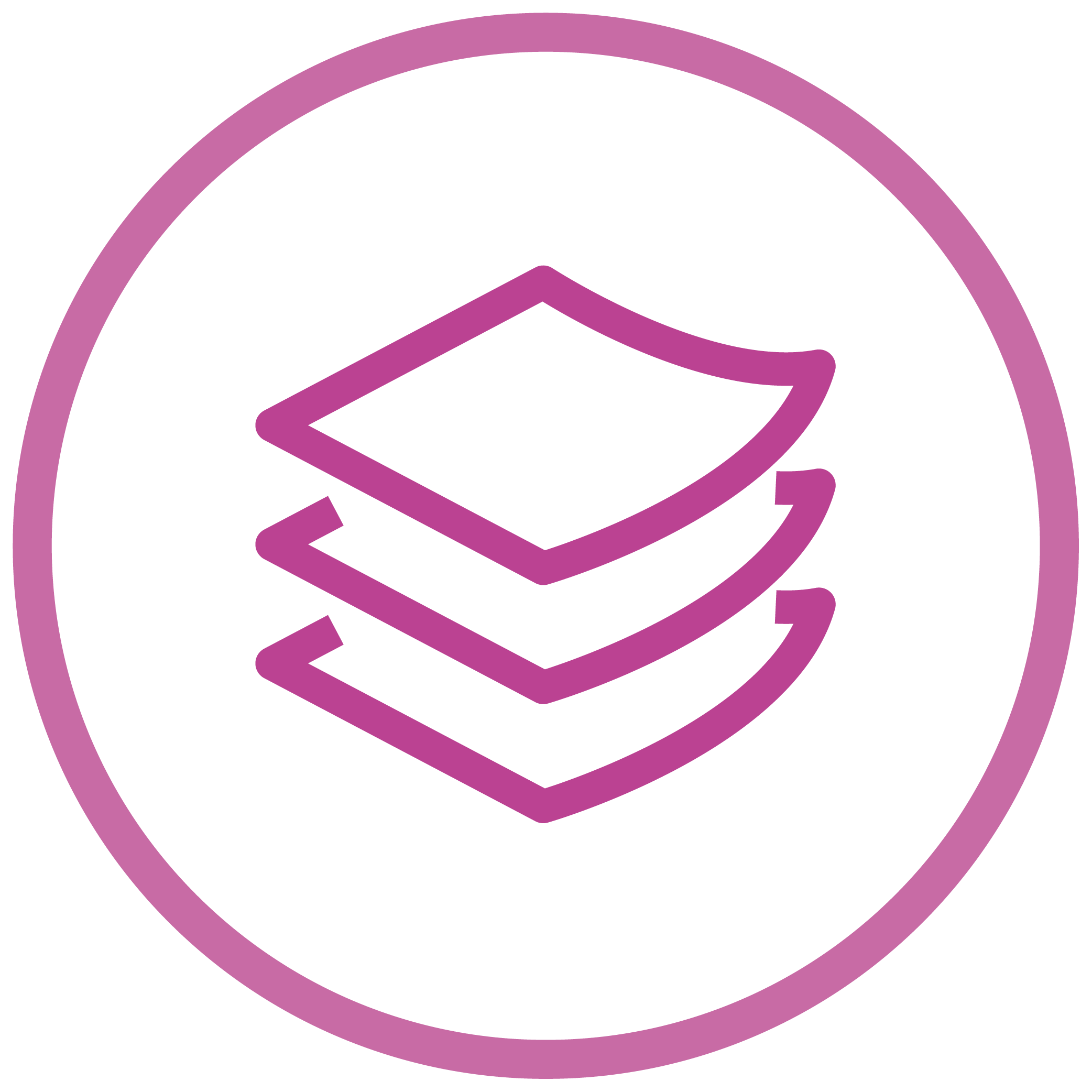 stabilizer-fusible icon