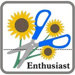 Embrilliance Enthusiast