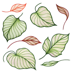 Tropical Leaves Embroidery Designs by Echidna