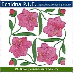 Echidna P.I.E. Gladiolus August Birth Flower Download