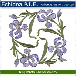 Echidna P.I.E. Iris Birth Month Flower Download