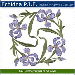 Echidna P.I.E. Iris Birth Month Flower