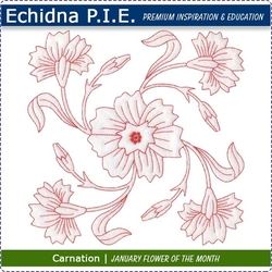 Echidna P.I.E. Carnation Birth Month Flower Download