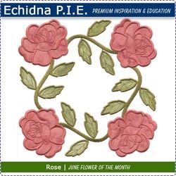Echidna P.I.E. Rose June Birth Month Flower Download