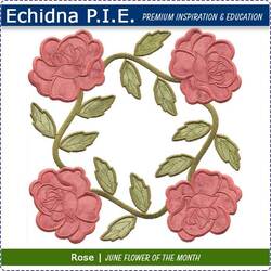 Echidna P.I.E. Rose June Birth Month Flower