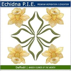 Echidna P.I.E. Daffodil March Birth Month Flower Download