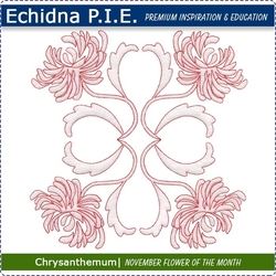 Echidna P.I.E. Chrysanthemum November Birth Month Flower Download