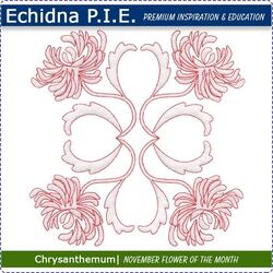 Echidna P.I.E. Chrysanthemum November Birth Month Flower