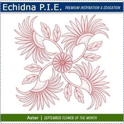 Echidna P.I.E. Aster September Birth Month Flower Download