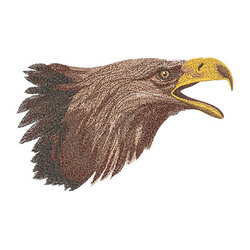 Eagle Head by The Deer's Embroidery Legacy - Download
