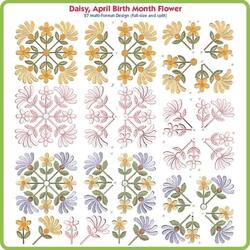 Daisy April Birth Month Flower by Lindee Goodall