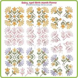 Daisy April Birth Month Flower by Lindee Goodall
