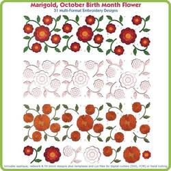 Marigold October Birth Month Flower