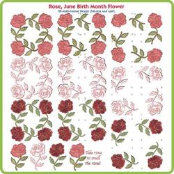 Rose June Birth Month Flower by Lindee Goodall