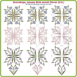 Snowdrop January Birth Month Flower USA by Lindee Goodall