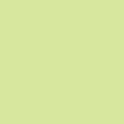 Limesicle - Kimberbell Silky Solids - Bravo Fat Quarter