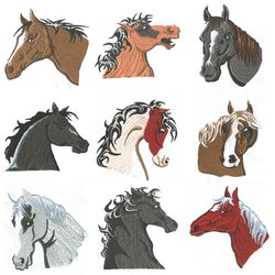 Oakleigh Horses (10 designs) by Outback Embroidery - Download