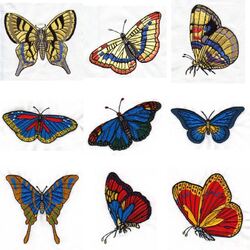 Summer Butterflies (12 designs) by Outback Embroidery - Download