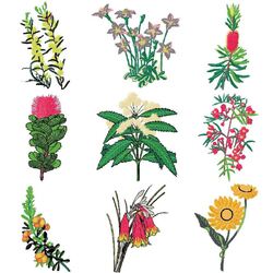 Australian Flowers (30 designs) by Outback Embroidery - Download