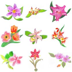 Floral Delight's (30 designs) by Outback Embroidery - Download