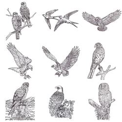 Birds of Prey (20 designs) by Outback Embroidery - Download