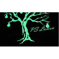 Siser Glow in the Dark 30x50cm HTV