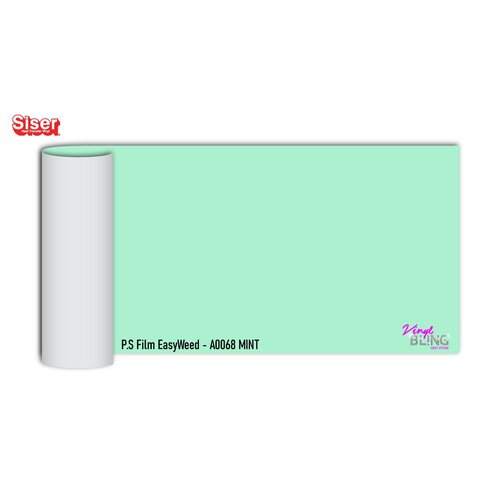 Mint Siser EasyWeed HTV 30x100cm