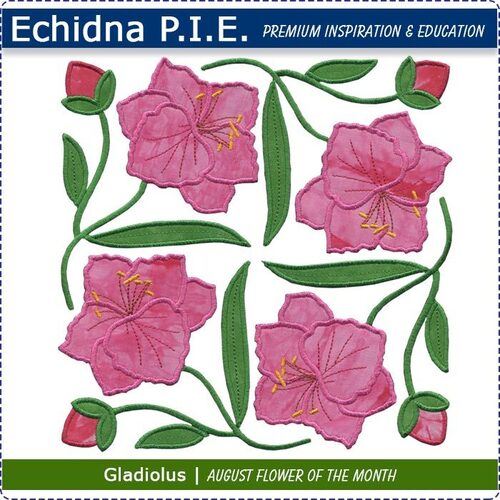 Echidna P.I.E. Gladiolus August Birth Flower