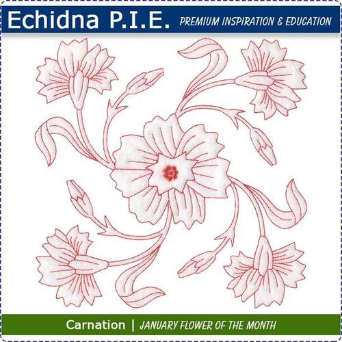 Echidna P.I.E. Carnation Birth Month Flower